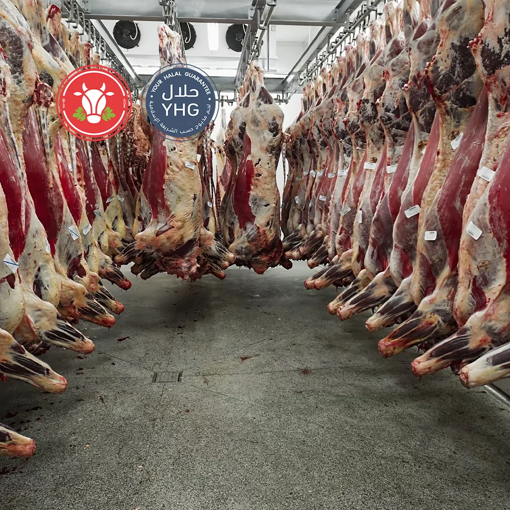 Halal Beef Carcass – 100% Pure Beef Box – Pre-Order Only Halal Beef Carcass – 100% Pure Beef Box – Pre-Order Only