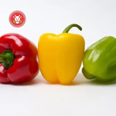 Mixed Bell Pepper Pack of 3