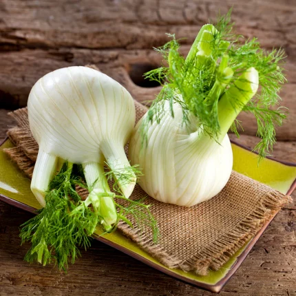 Fresh Fennel Pack of 2