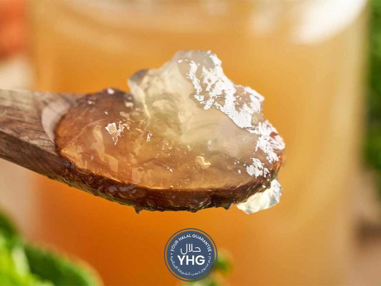 Is beef gelatine halal ?