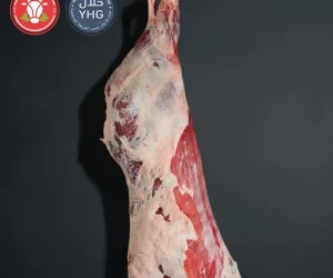 Halal Beef Hindquarter