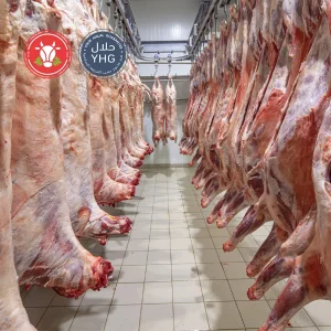 halal lamb carcass
