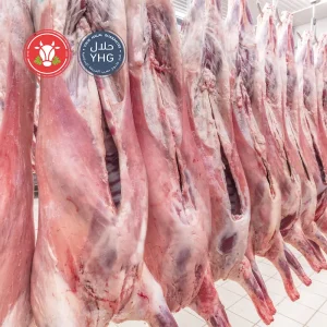 Halal Sheep Mutton Carcass