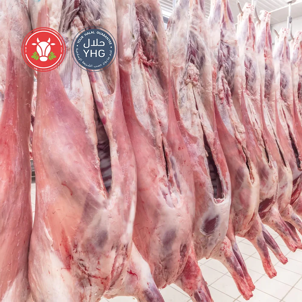 Halal Sheep Mutton Carcass – Pre-Order Only Halal Sheep Mutton Carcass – Pre-Order Only