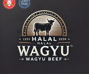Halal Wagyu Beef Carcass