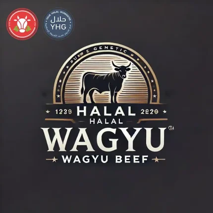 Halal Wagyu Beef Carcass