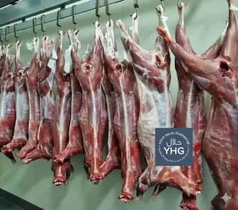 Is lamb halal ?