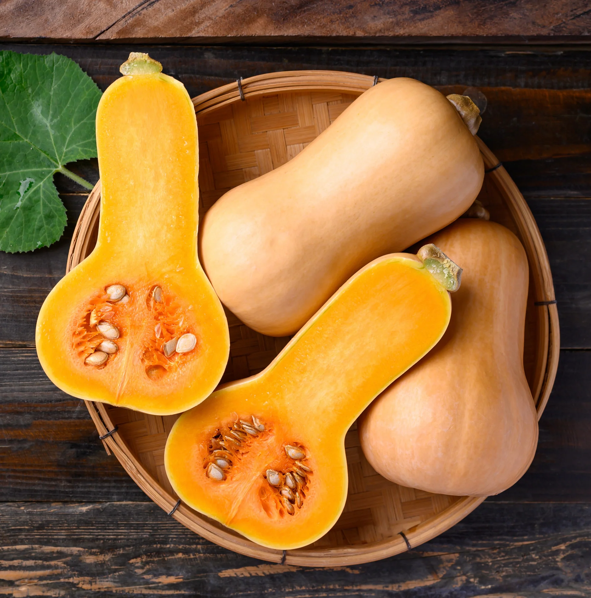 Butternut Squash Pack of 2 Butternut Squash Pack of 2