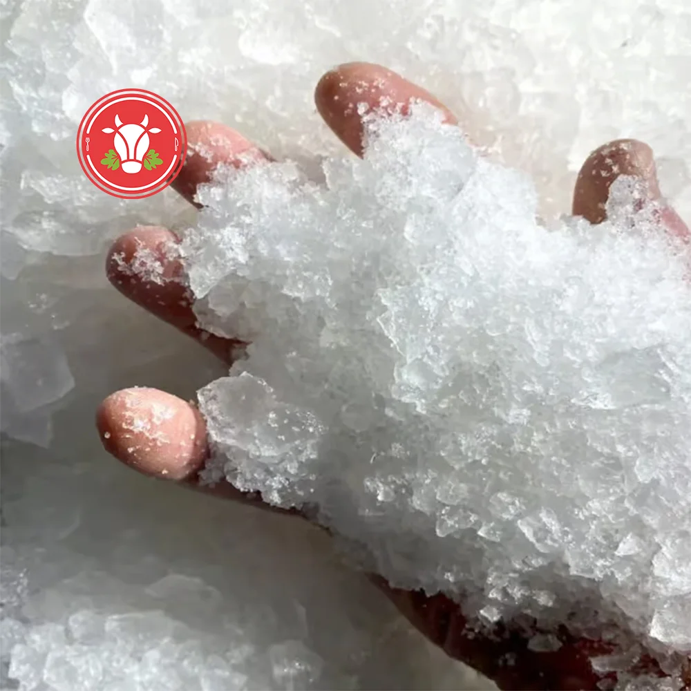 Crushed Ice 1.8kg Bag Crushed Ice 1.8kg Bag