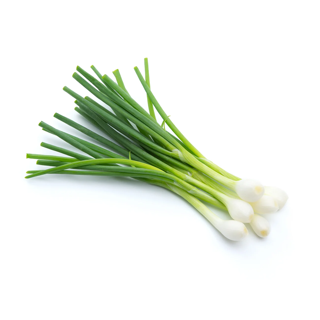 Spring Onions (Scallion) Bunch Spring Onions (Scallion) Bunch