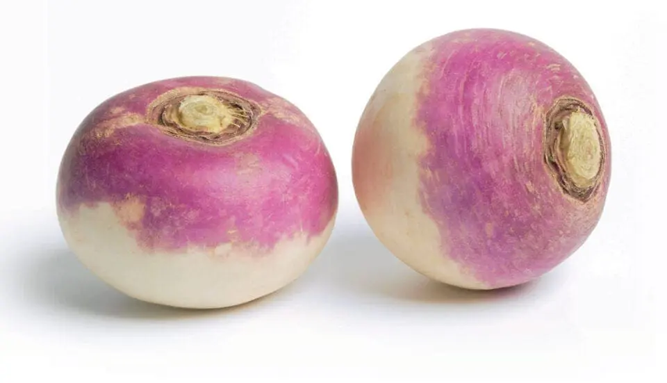 Turnips Turnips
