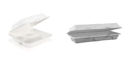 Bagasse Takeaway Boxes 9×9″ 3-Compartment & 12×6″ Flat-Large Pack of 20