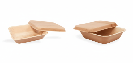 Palm Leaf Food Containers with Lids 500ml (18oz) & 750ml (27oz) Pack of 20