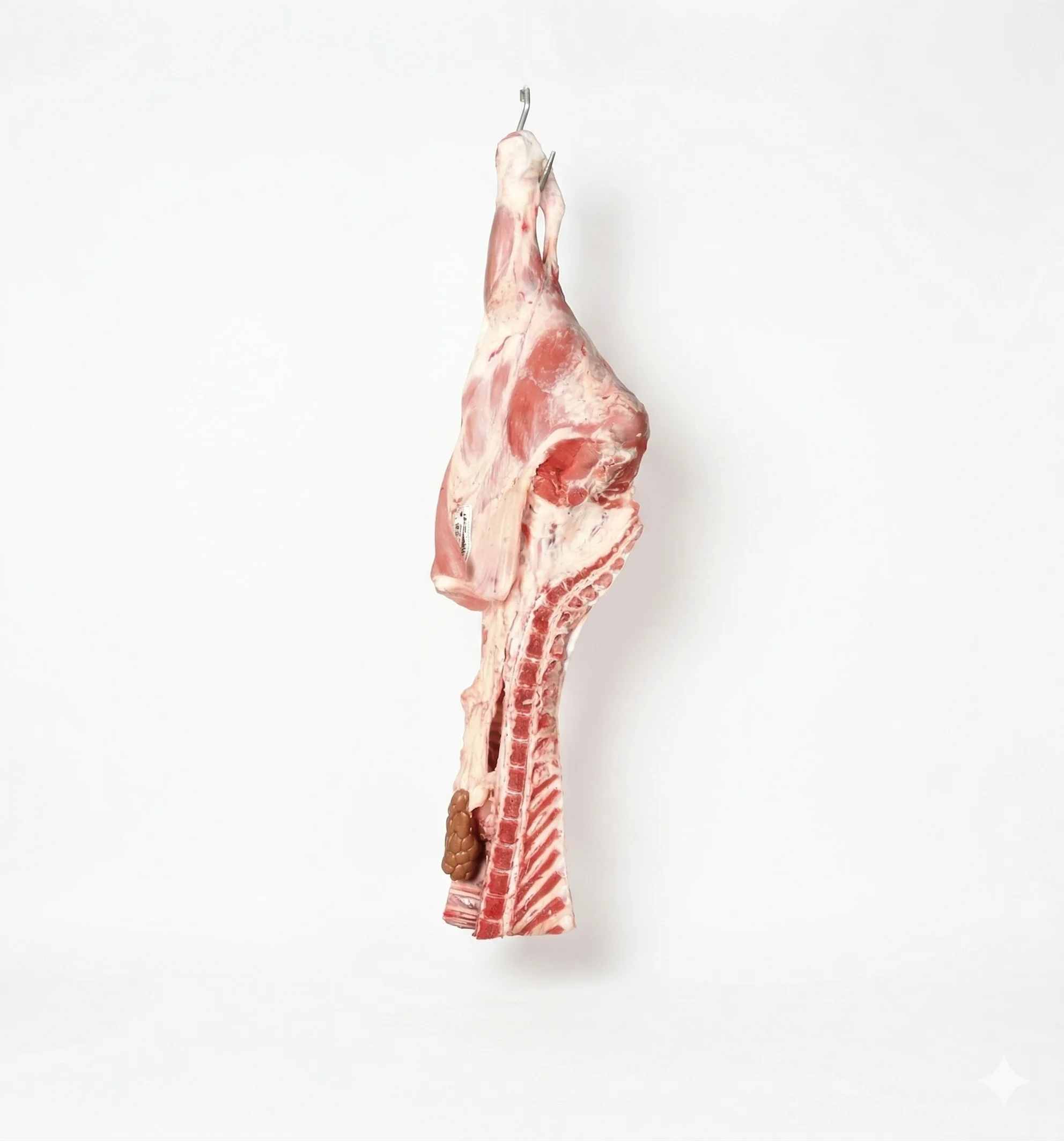 Halal Milk-Fed Veal Pistol 8 Ribs Bone-In (Pan de Veau) — Pre-Order Halal Milk-Fed Veal Pistol 8 Ribs Bone-In (Pan de Veau) — Pre-Order