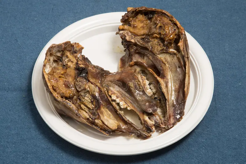Lamb Head Lamb Head